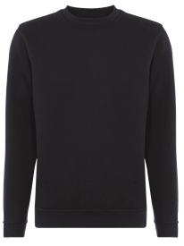 Alsico Sweatshirt SWS479
